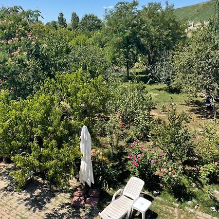 City Garden Escape Popesti-Leordeni المظهر الخارجي الصورة